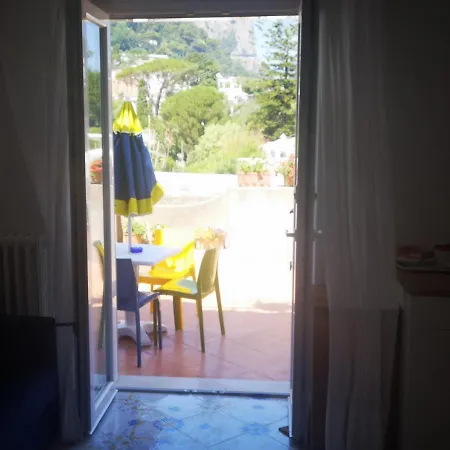 Guest house Palomba